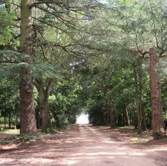 مبيت وإفطار Domaine De La Mazure