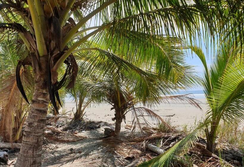 민박 Palmetto Lodge