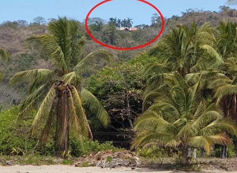 Aamiaismajoitus (B&B) Palmetto Lodge