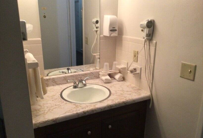 酒店 Colonial Brick Inn & Suites