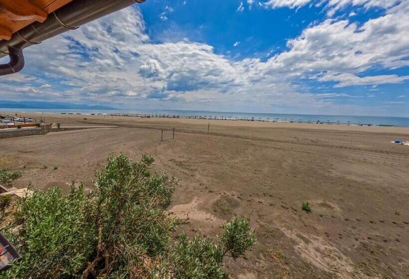 בית מלון כפרי Ibiza Resort