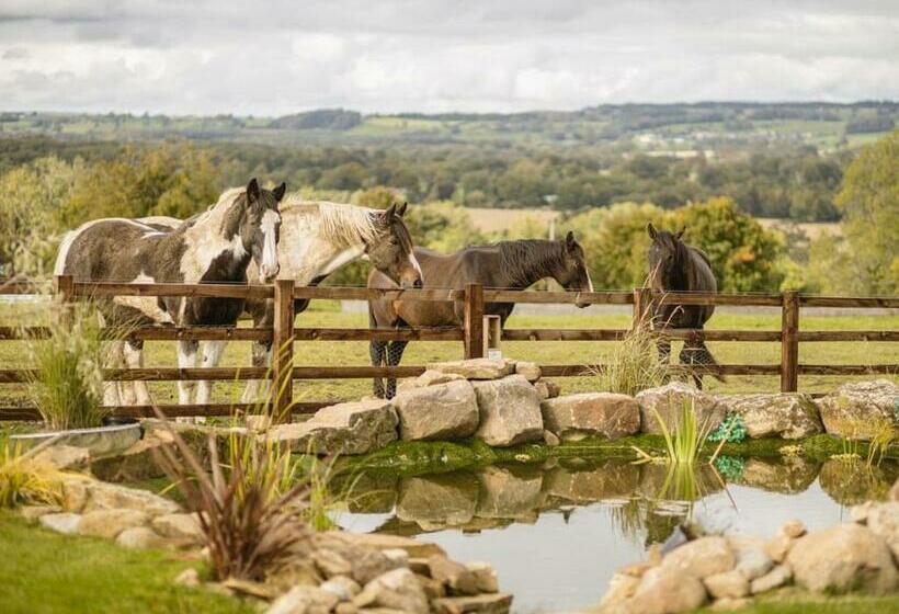 リゾートホテル Sun Hill Lodges