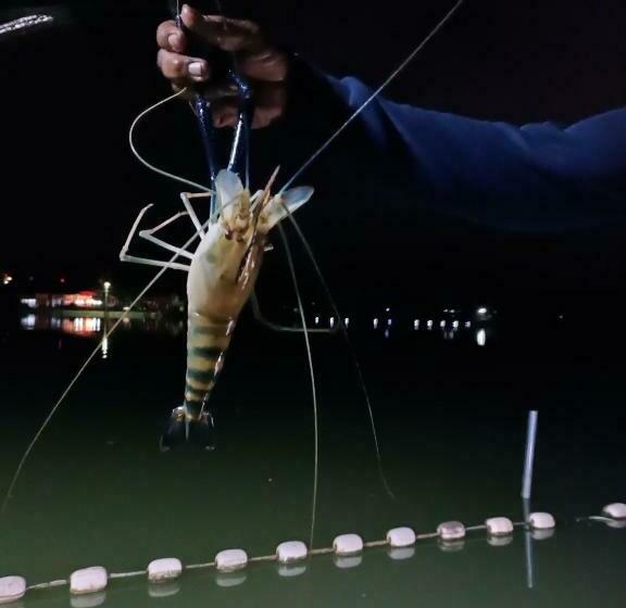 Bed and Breakfast ชิดชล โฮมสเตย์ แอทอัมพวา