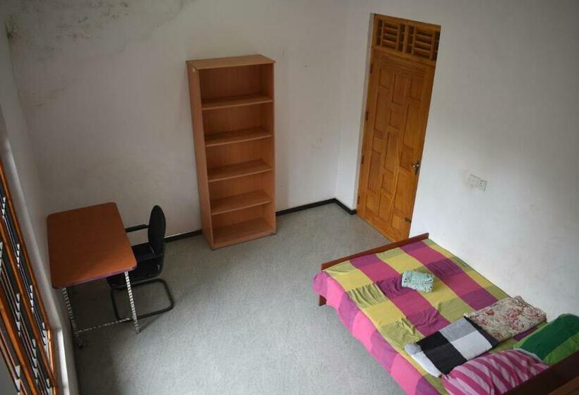 Bed and Breakfast Bruce S Backpacker Homestay