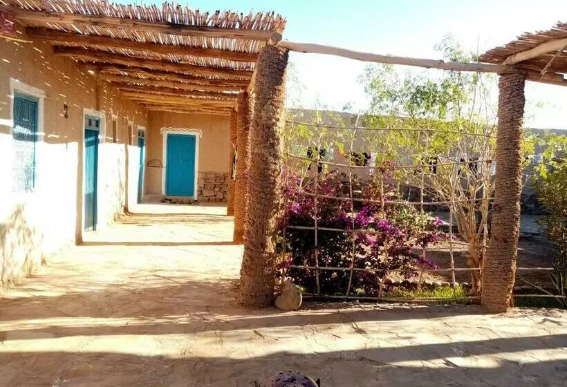 Aamiaismajoitus (B&B) Dar Oasis Moringa