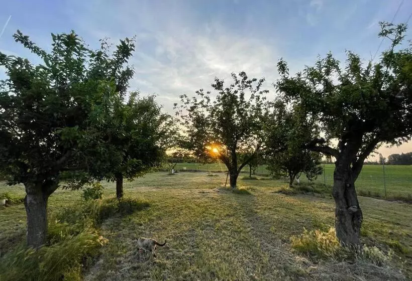 Aamiaismajoitus (B&B) Malamù Bnb Eventi