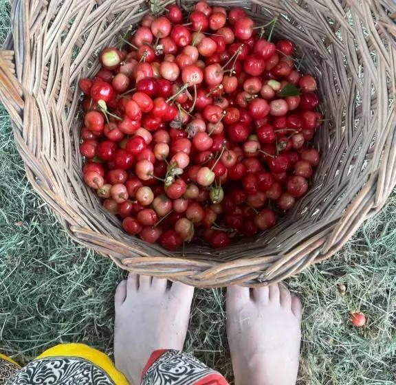 Aamiaismajoitus (B&B) Malamù Bnb Eventi