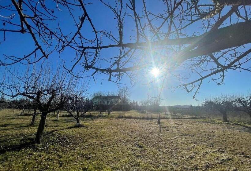 ベッドアンドブレックファースト Malamù Bnb Eventi