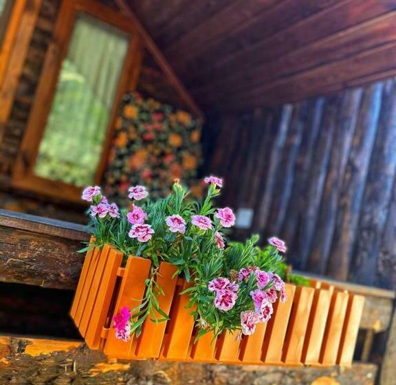 בית מלון כפרי Zeytindağı Bungalow