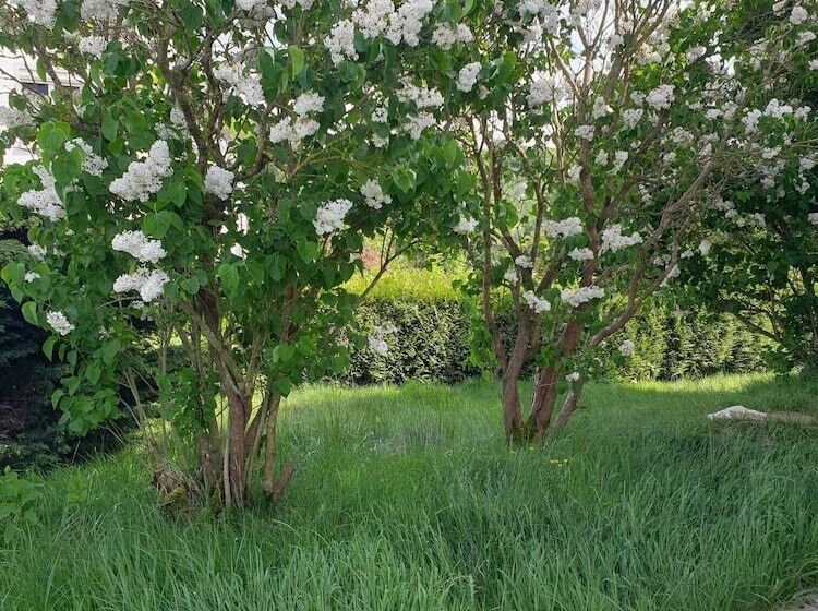 ペンション Au Domaine Cru