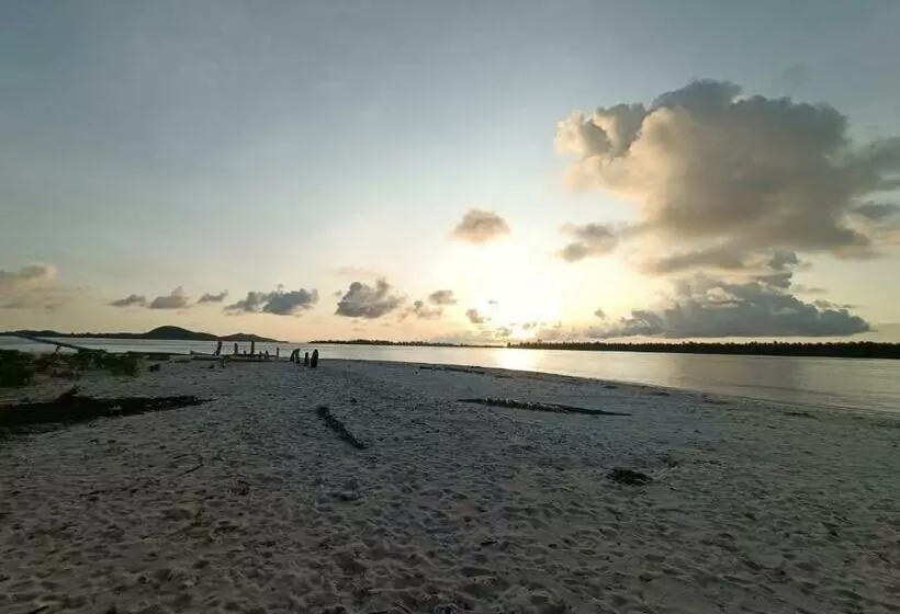 ペンション Bau Homestay Raja Ampat Manta Station