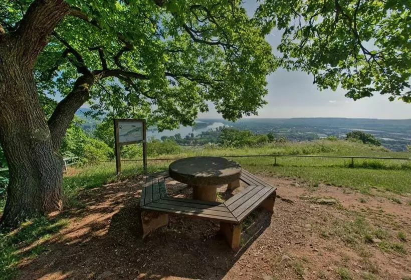 Majatalo Gästehaus Schmitt