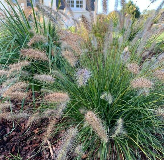 ベッドアンドブレックファースト Le Ch’ti Breizh Home