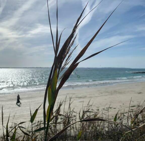 ベッドアンドブレックファースト Le Ch’ti Breizh Home