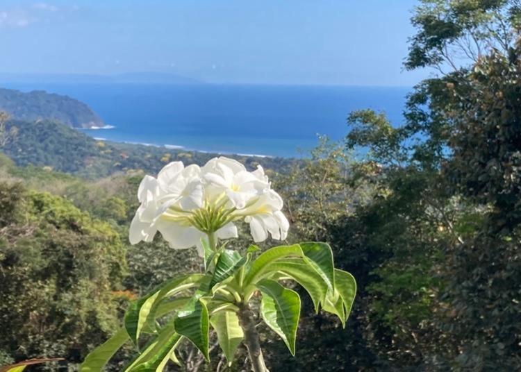 Aamiaismajoitus (B&B) Little Paradise