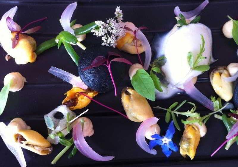 בית מלון כפרי Domaine Riberach   Restaurant étoilé   Spa   Piscine Naturelle   Vignoble Bio