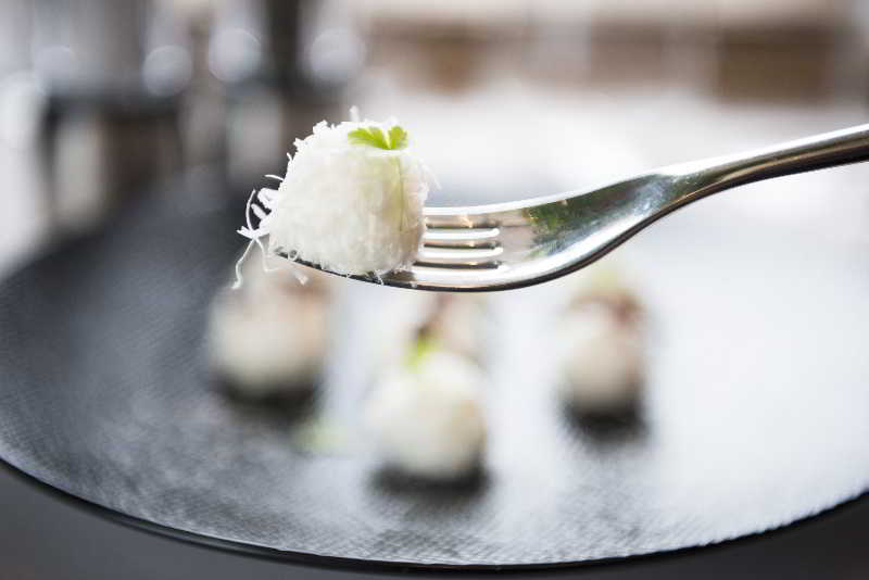 בית מלון כפרי Domaine Riberach   Restaurant étoilé   Spa   Piscine Naturelle   Vignoble Bio