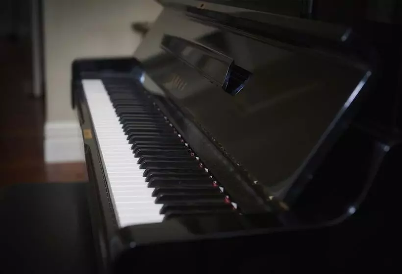 Otel Escape To Picton Boutique