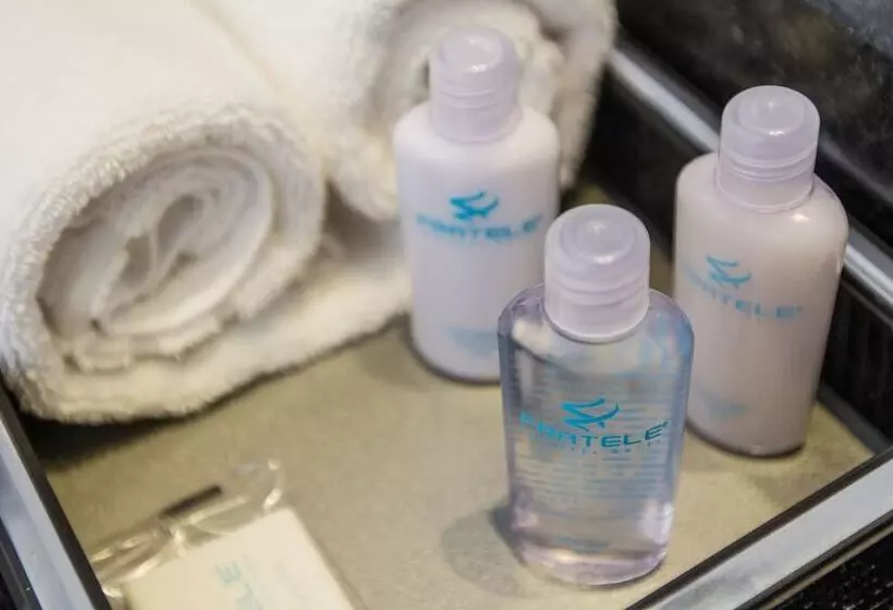 فندق Fratele Business