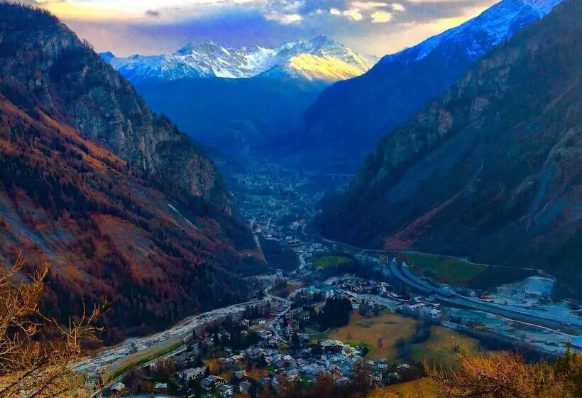 ホテル La Grange  Animal Chic