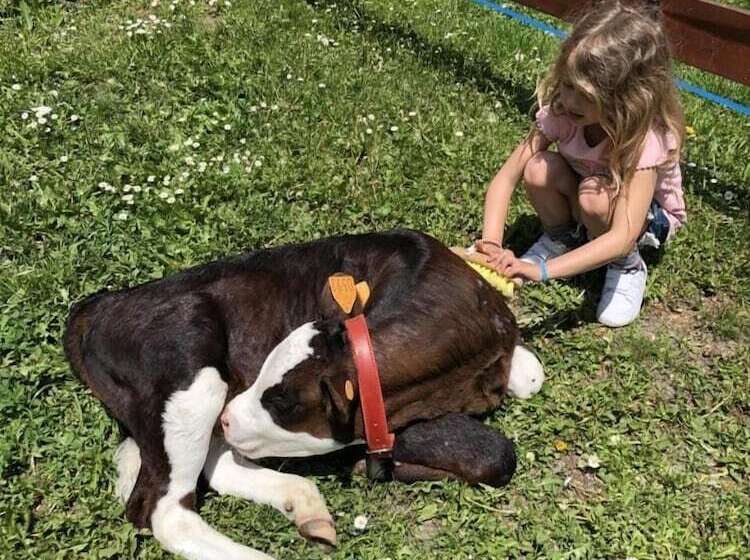 בית מלון כפרי La Grange Animal Chic