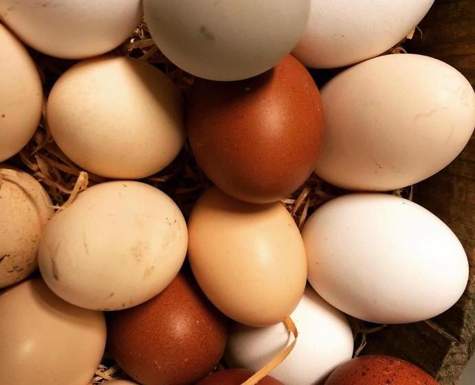 בית מלון כפרי La Grange Animal Chic