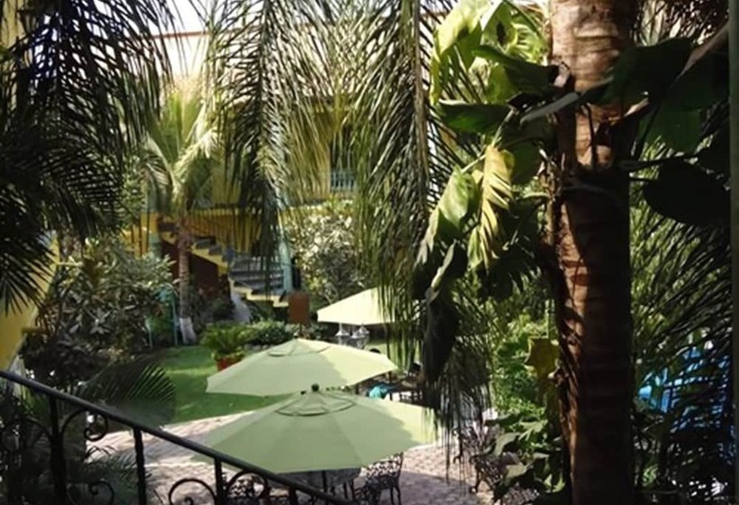 Отель Oaxtepec