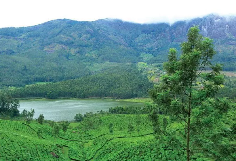 Hotel Gokulam Park Munnar