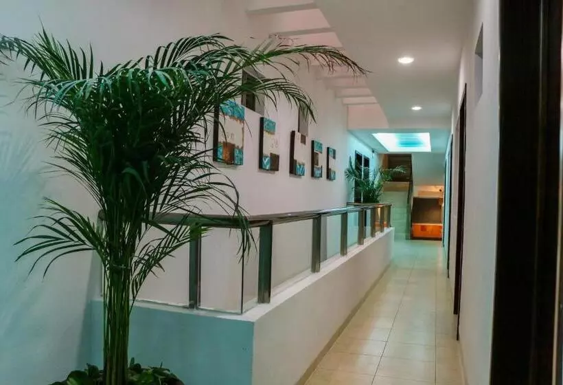 فندق Playa Linda