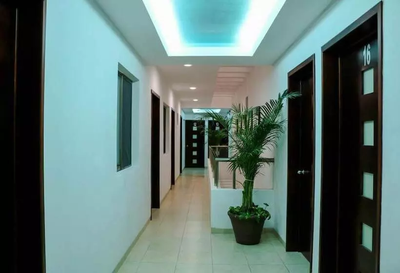 فندق Playa Linda