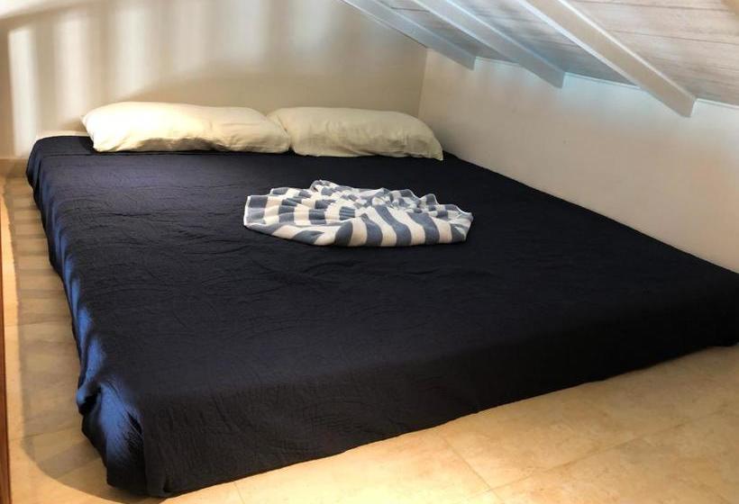 Boutique Hotel Swiss Paradise Aruba Villas And Suites