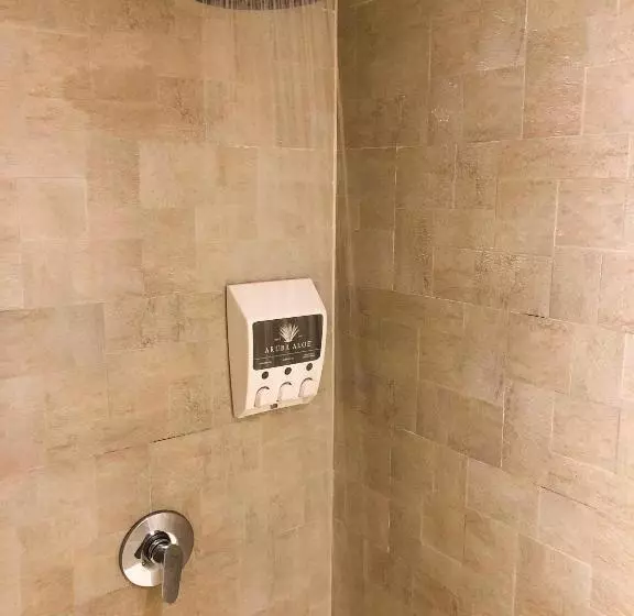 Boutique Hotel Swiss Paradise Aruba Villas And Suites