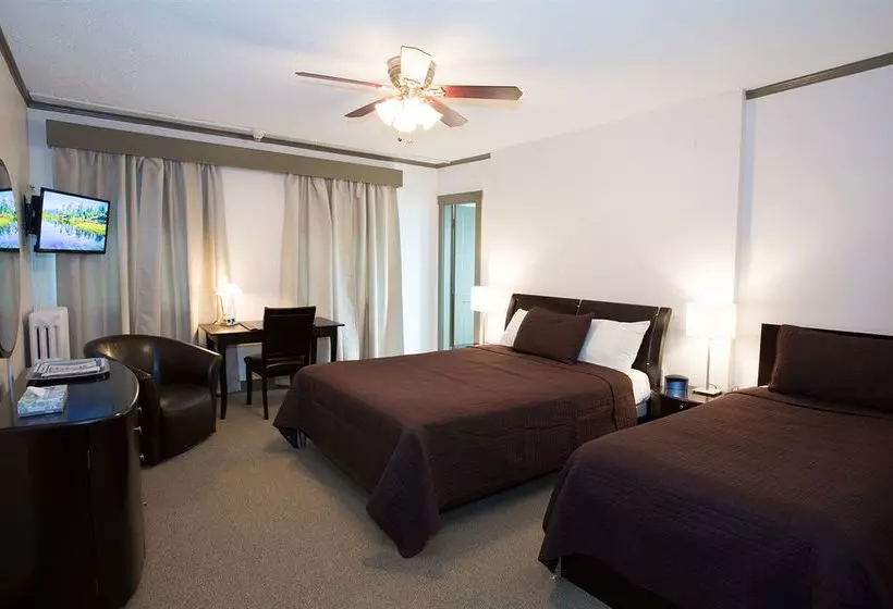 בית מלון כפרי The Buchan