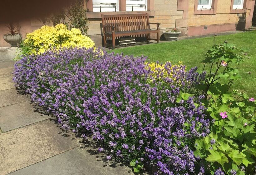 پانسیون Dorstan House