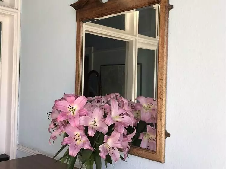 پانسیون Dorstan House