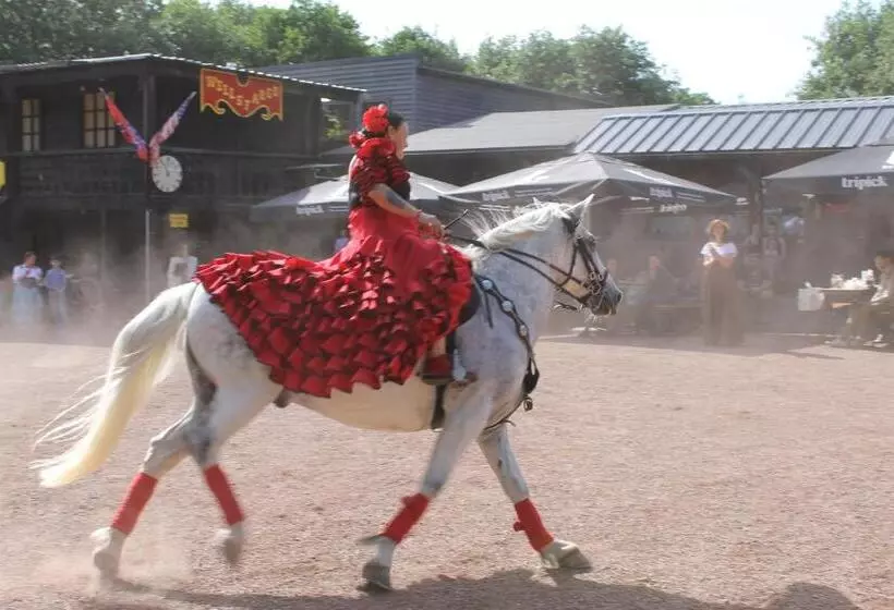 پانسیون Western City