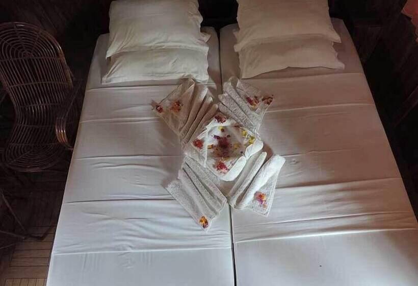 فندق فئة نجمة واحدة Dreams Beach Resort