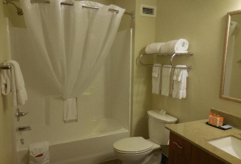 Ledgestone Hotel Billings