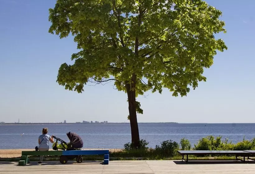 בית מלון כפרי Repinskaya