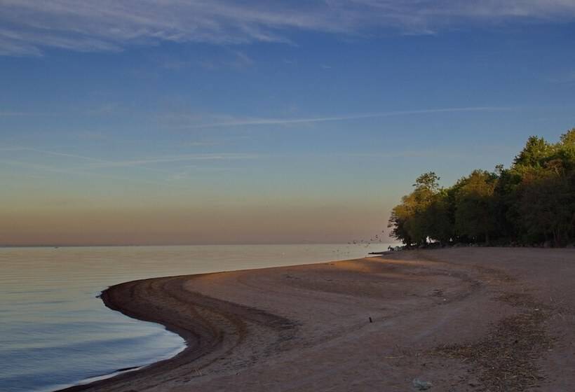 בית מלון כפרי Repinskaya
