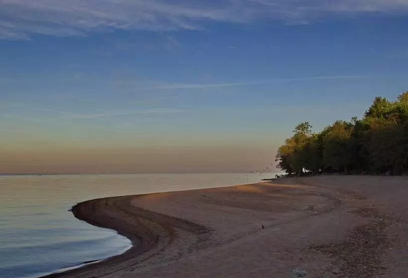 בית מלון כפרי Repinskaya