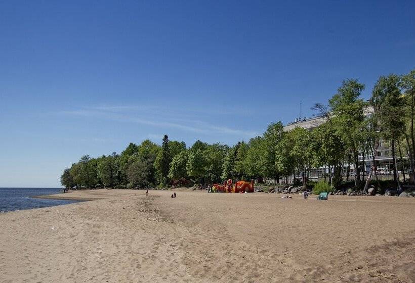 בית מלון כפרי Repinskaya