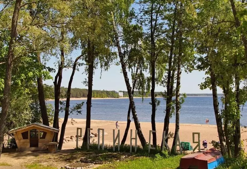 בית מלון כפרי Repinskaya