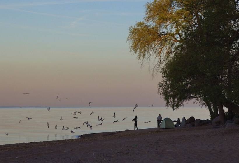 בית מלון כפרי Repinskaya