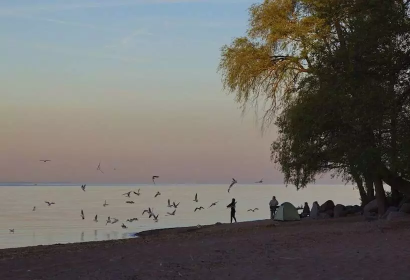 בית מלון כפרי Repinskaya