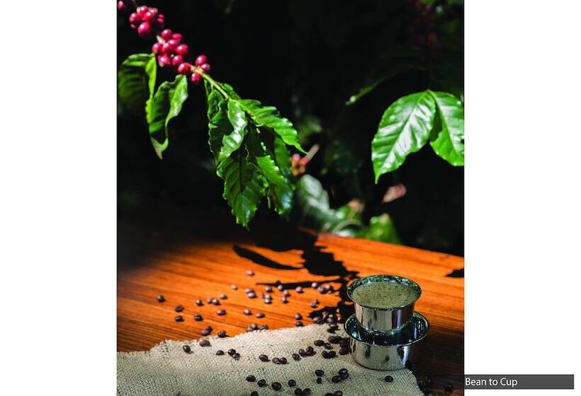 ホテル The Serai Chickmagalur