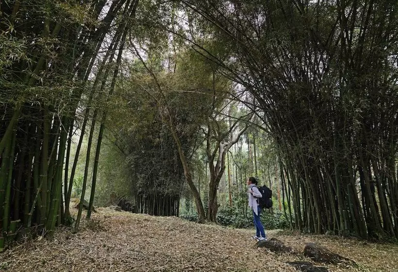 هتل The Serai Chickmagalur