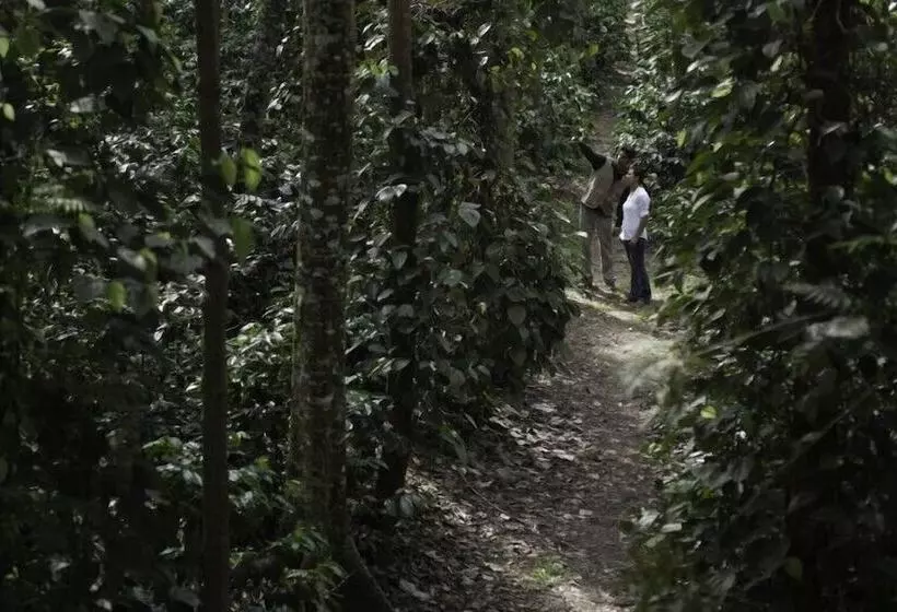 هتل The Serai Chickmagalur