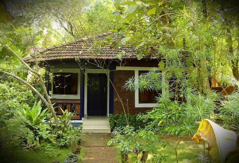 פנסיון Jicky S Nest