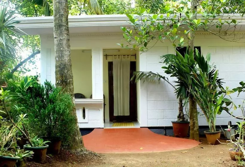 Pensão Jicky S Nest